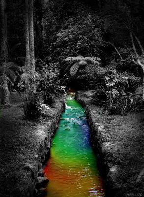 cOuLeUrS