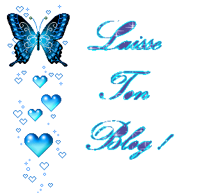 Laisse ton blog
